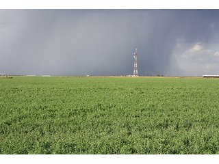 Property photo 99 - LAND AUCTION, 3255+/- Acres offered in 13 Tracts
